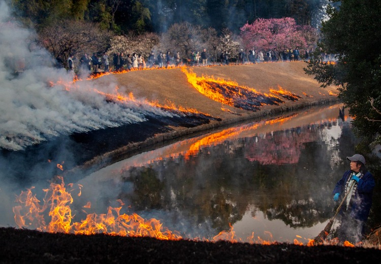 photocontest_2020_1