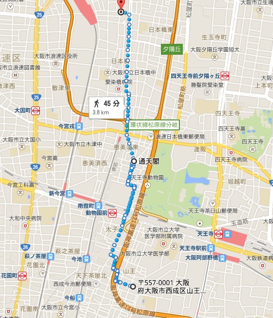 Google マップ (1)