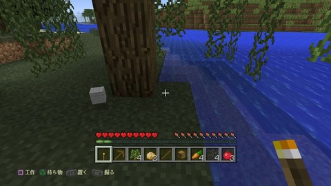 Minecraft_ PlayStation®4 Edition_20141225214140_R