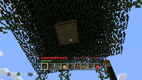 Minecraft_ PlayStation®4 Edition_20141225214225_R