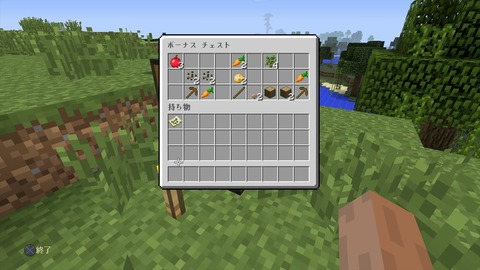 Minecraft_ PlayStation®4 Edition_20141225213833_R