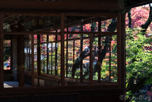 宝厳院の紅葉画像１