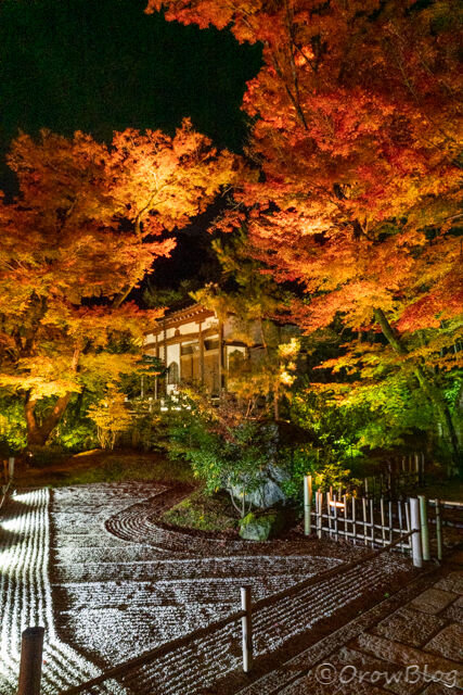 宝厳院の紅葉画像