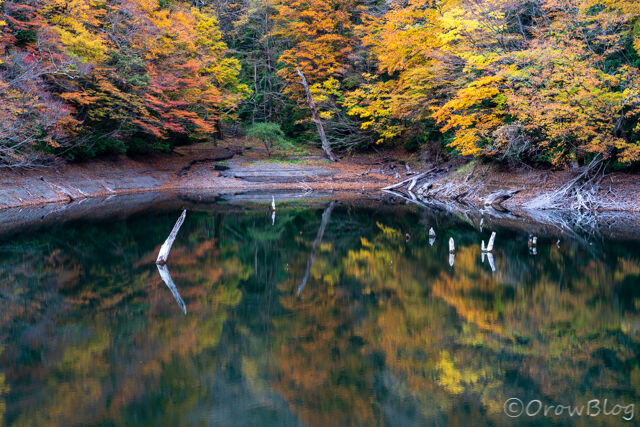十二湖の紅葉 青森県 深浦町 写真 旅 車中泊 スキー キャンプ 登山に全集中