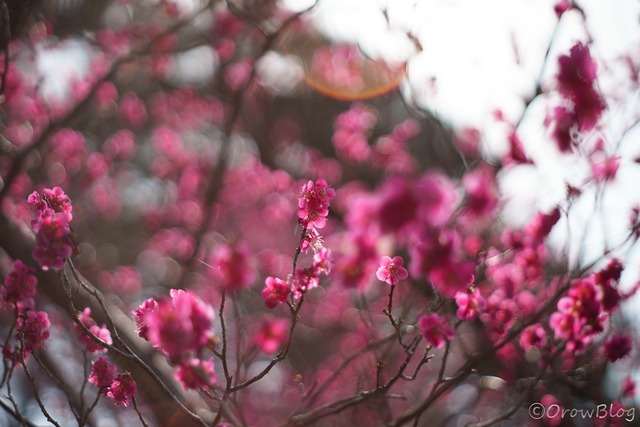 s-T1.8_F1.8