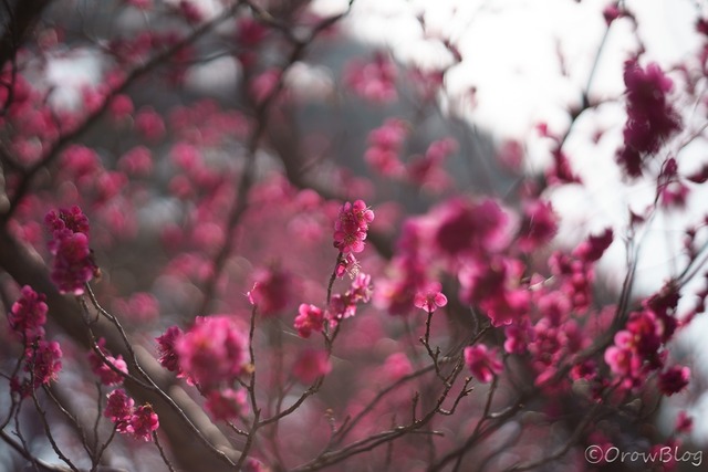 s-M1.7_F1.7