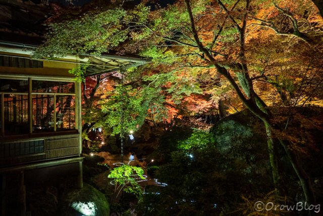 宝厳院の画像