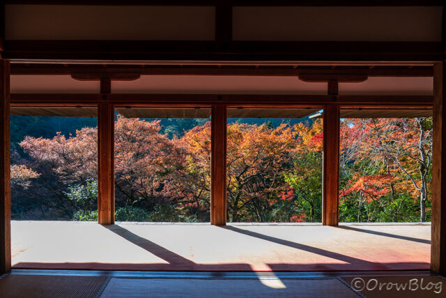 京都 高山寺の紅葉 写真 旅 車中泊 スキー キャンプ 登山に全集中 京都 高山寺の紅葉 写真 旅 車中泊 スキー キャンプ 登山に全集中