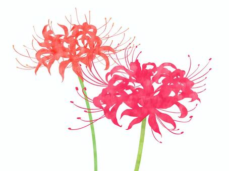 4781473440fe45d92d9b00d3f080f0a5_t