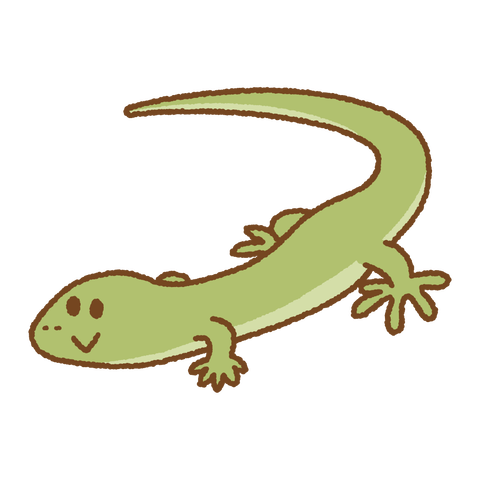 lizard