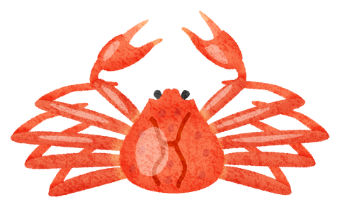 crab02