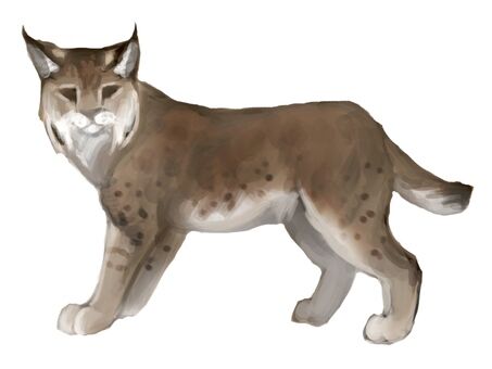 201dc99b275abb5c477b6a8eba993ae0_t