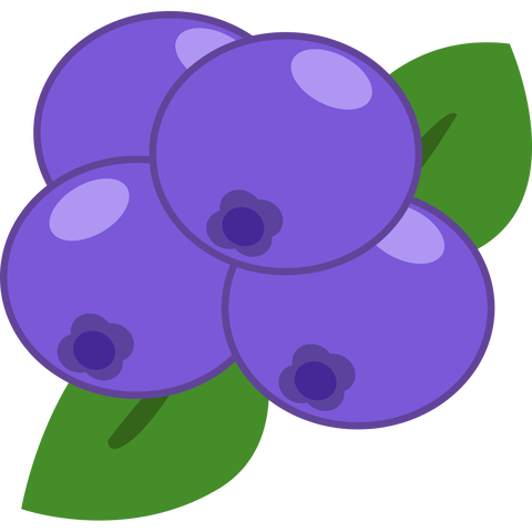 blueberry