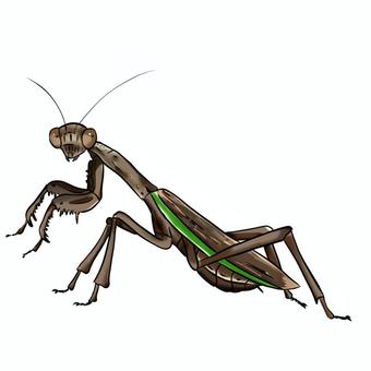 2874002f3465f2ba68e57fd04f30c029_t