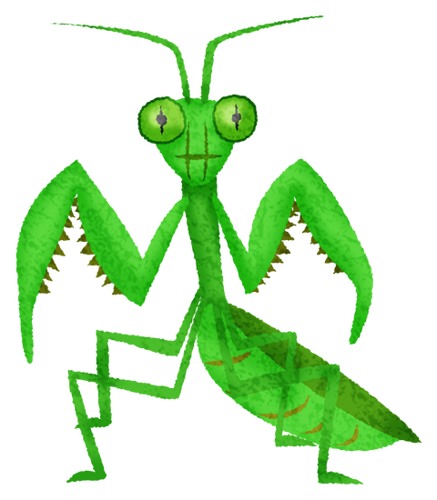 praying-mantis (1)
