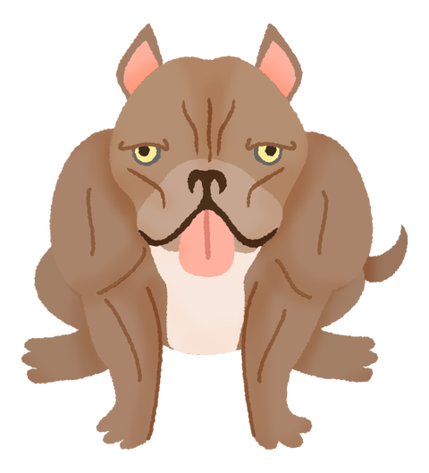 pitbull