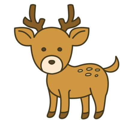 ec485dc163771dbcbca4d3fc5d885645