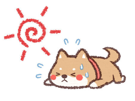 c1829ec239df7e58c8886933dd234e33_t