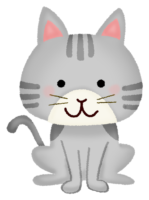 cat02