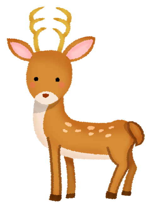 deer