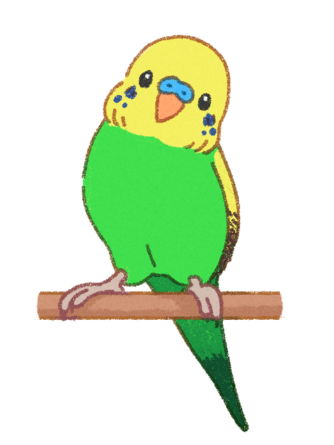 animal-budgerigars001-a-1