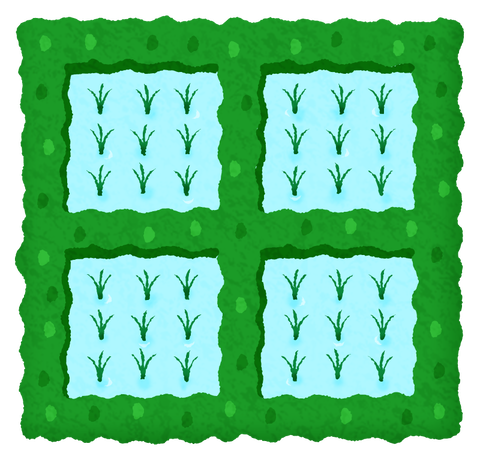 rice-field-lettering