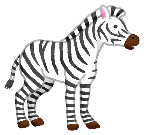 zebra