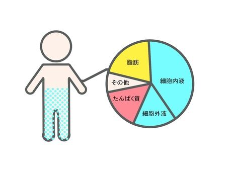 d8ace95dd76b64f885ae6ab97c91ce78_t