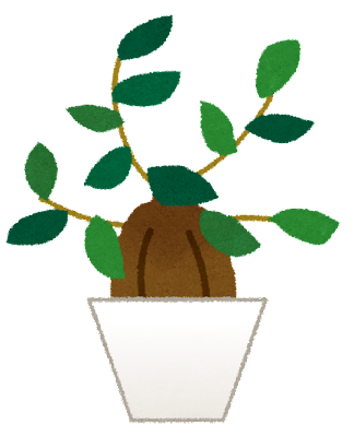 plant_gajumaru
