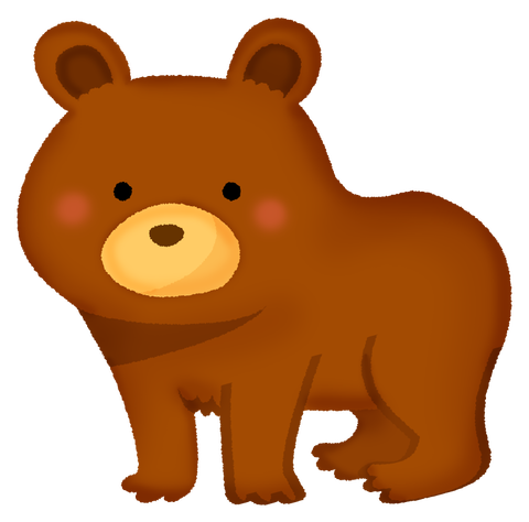 bear