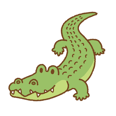 crocodile (2)