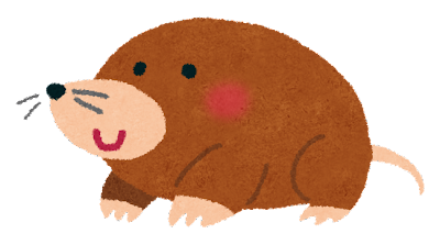 animal_mogura