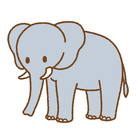 elephant
