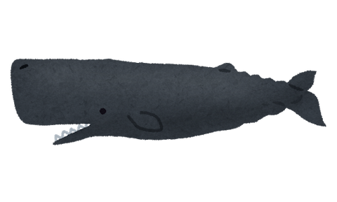 whale_04_makkoukujira