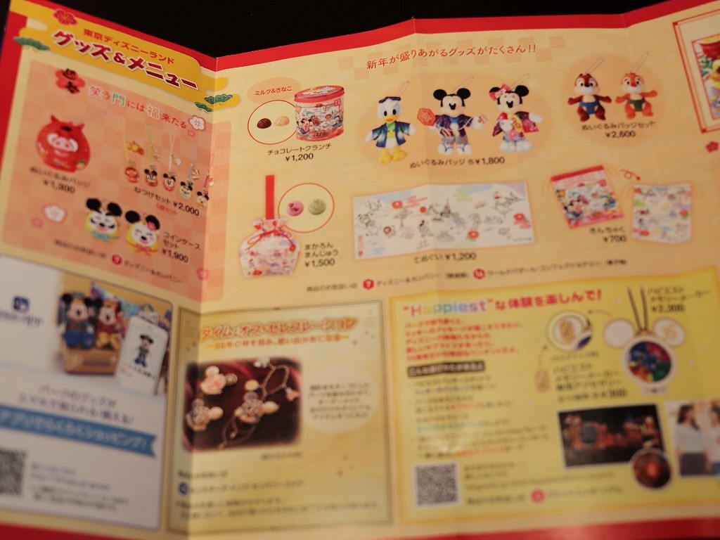 年越しディズニー18 19 年越し営業の入園時間が1時間アーリーとな おばさんと小学生の内緒のディズニー 年越しディズニー18 19 年越し営業の入園時間が1時間アーリーとな おばさんと小学生の内緒のディズニー