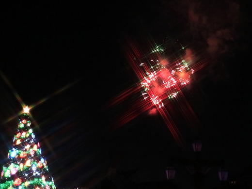 0IMG_6945