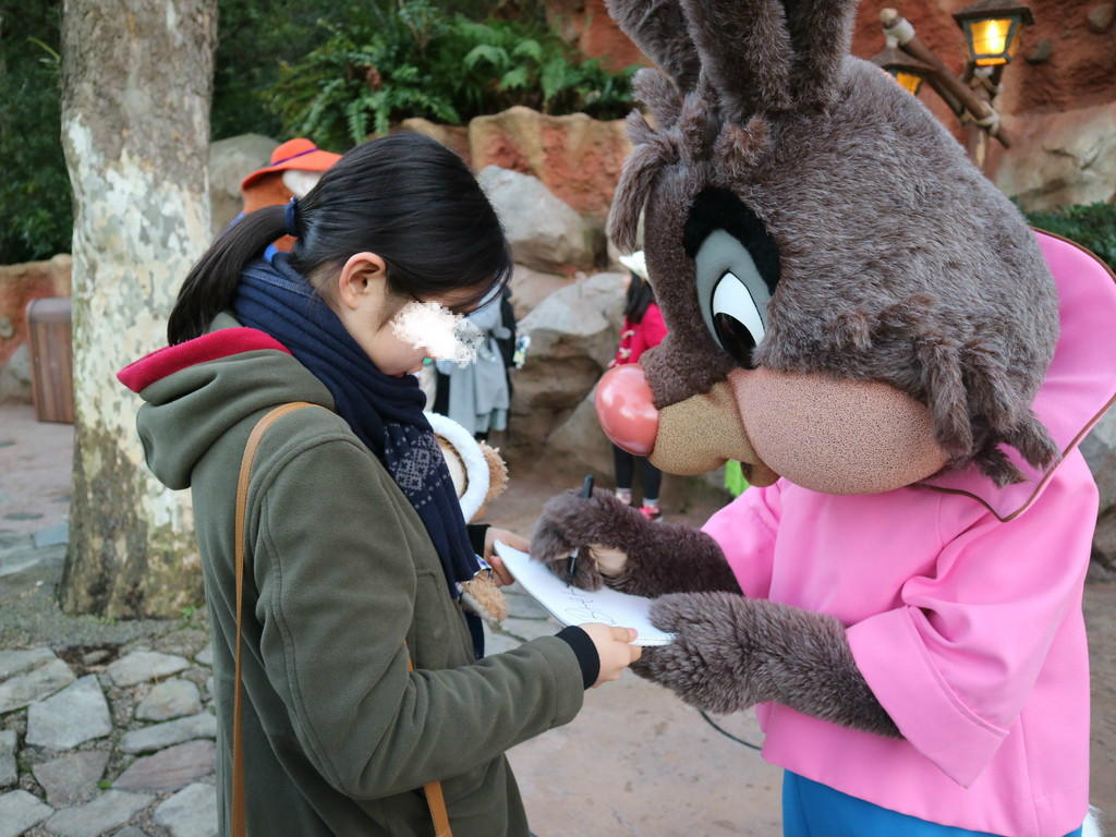 元日クリッター カントリー パラダイス おばさんと小学生の内緒のディズニー