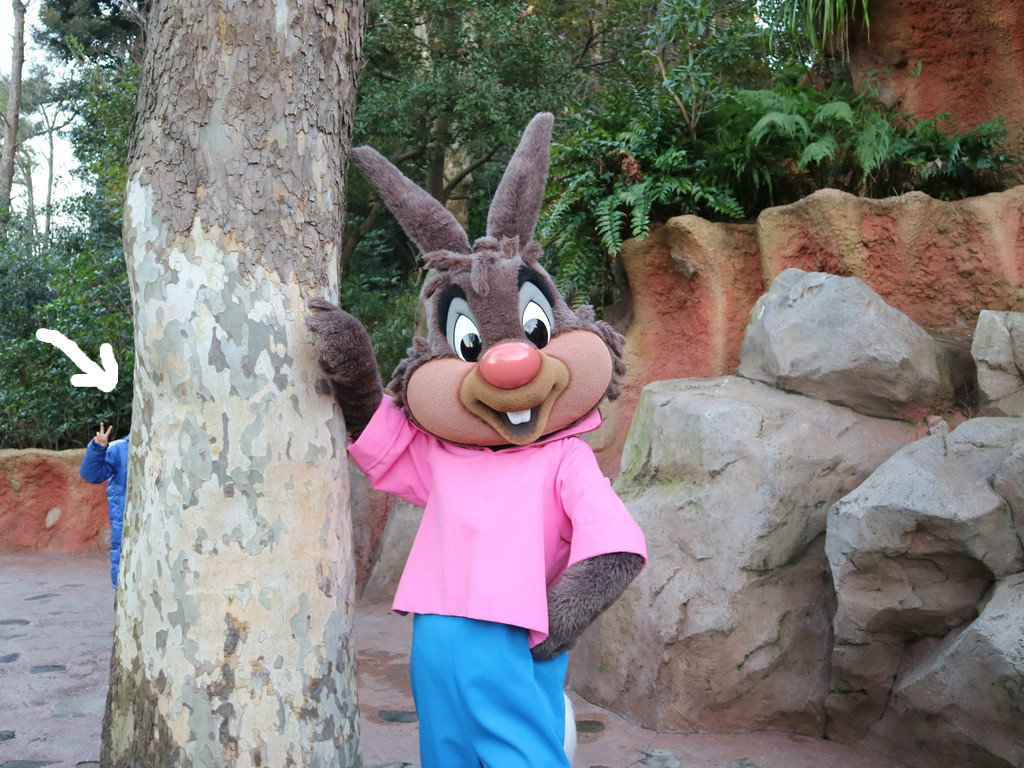 元日クリッター カントリー パラダイス おばさんと小学生の内緒のディズニー