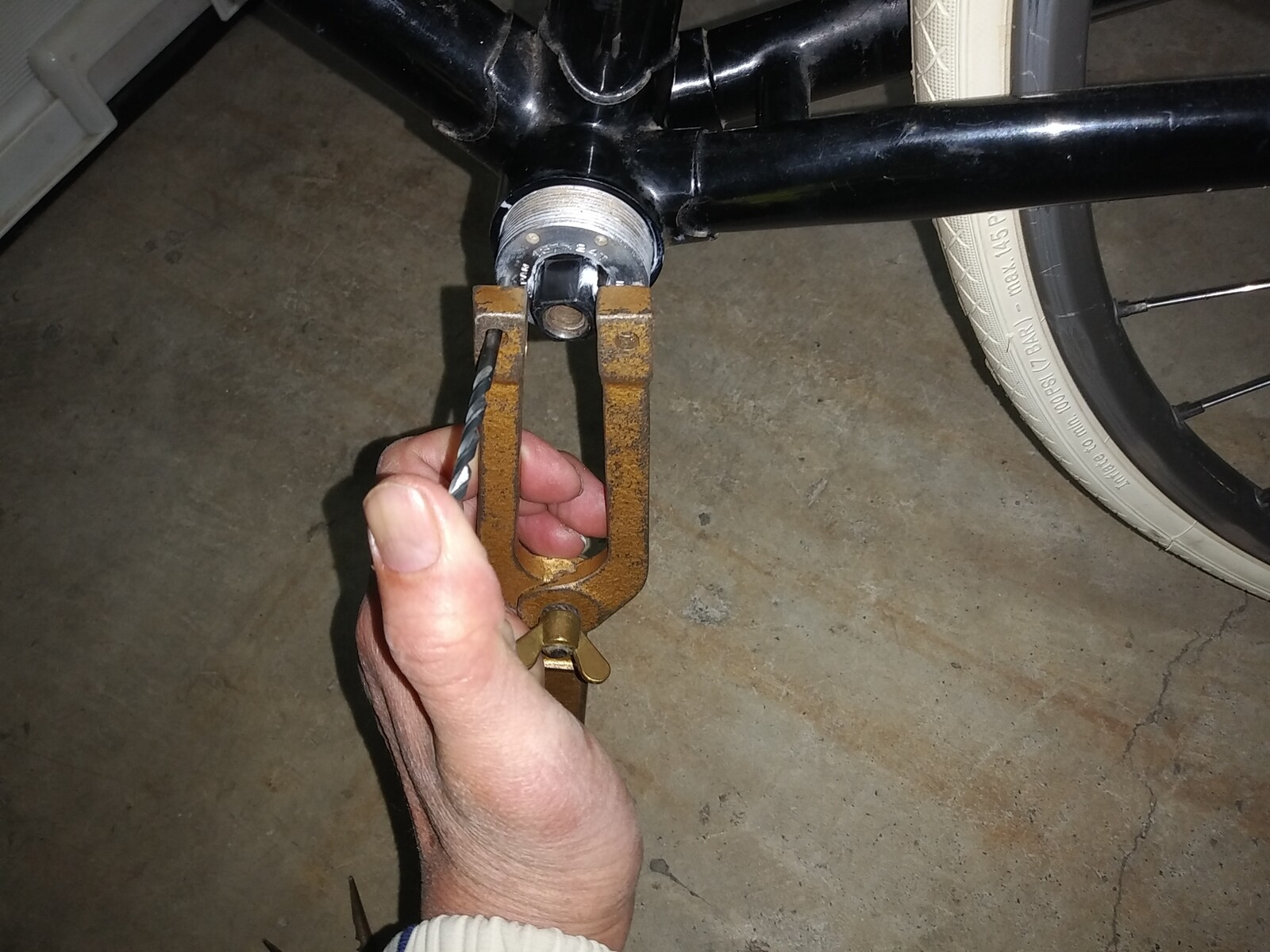 カニ 目が無い Oryzasativa 自転車ウロウロ記