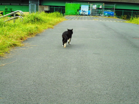 DSCN2031