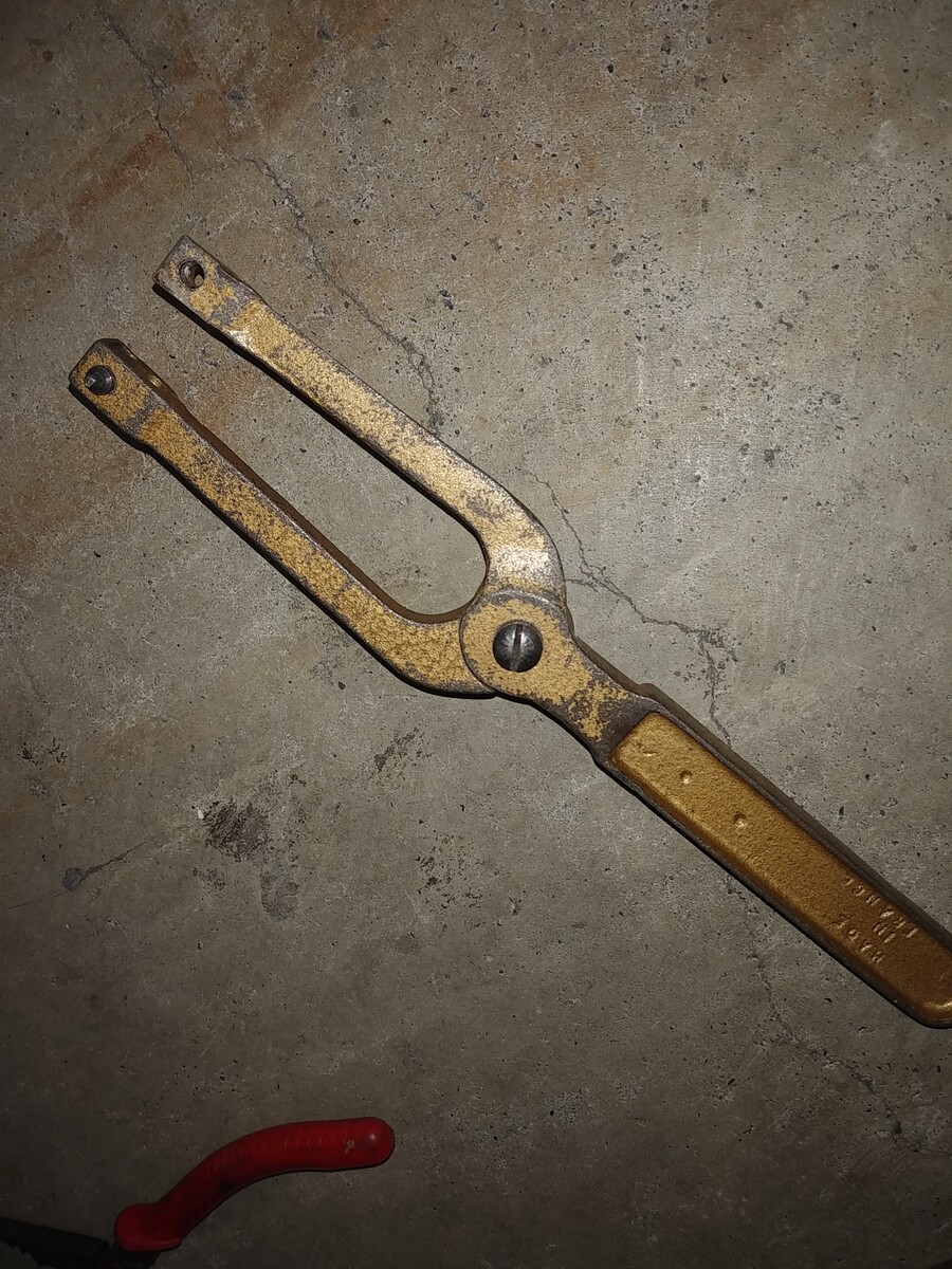 カニ 目が無い Oryzasativa 自転車ウロウロ記