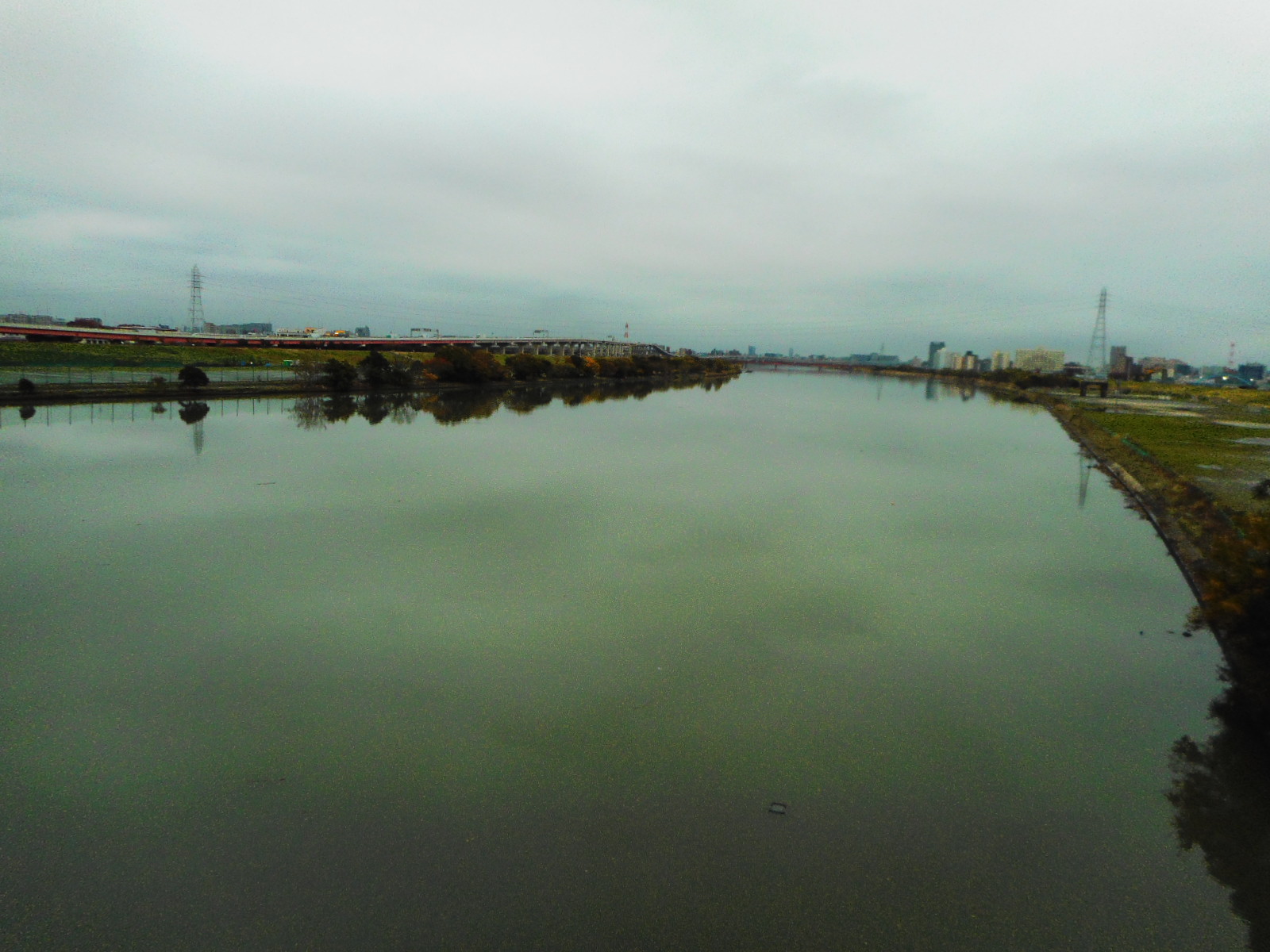 水溜まりにはまったポタ 荒川河川敷 Oryzasativa 自転車ウロウロ記 水溜まりにはまったポタ 荒川河川敷 Oryzasativa 自転車ウロウロ記