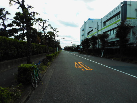 DSCN2023