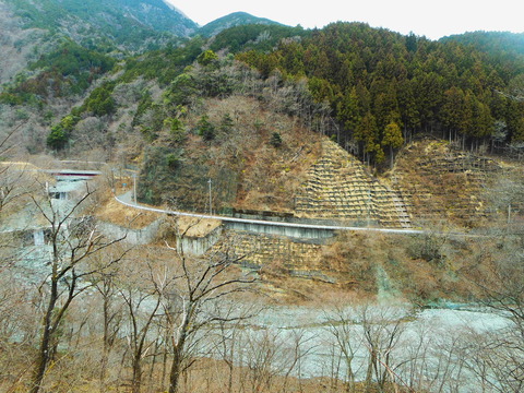 DSCN3676