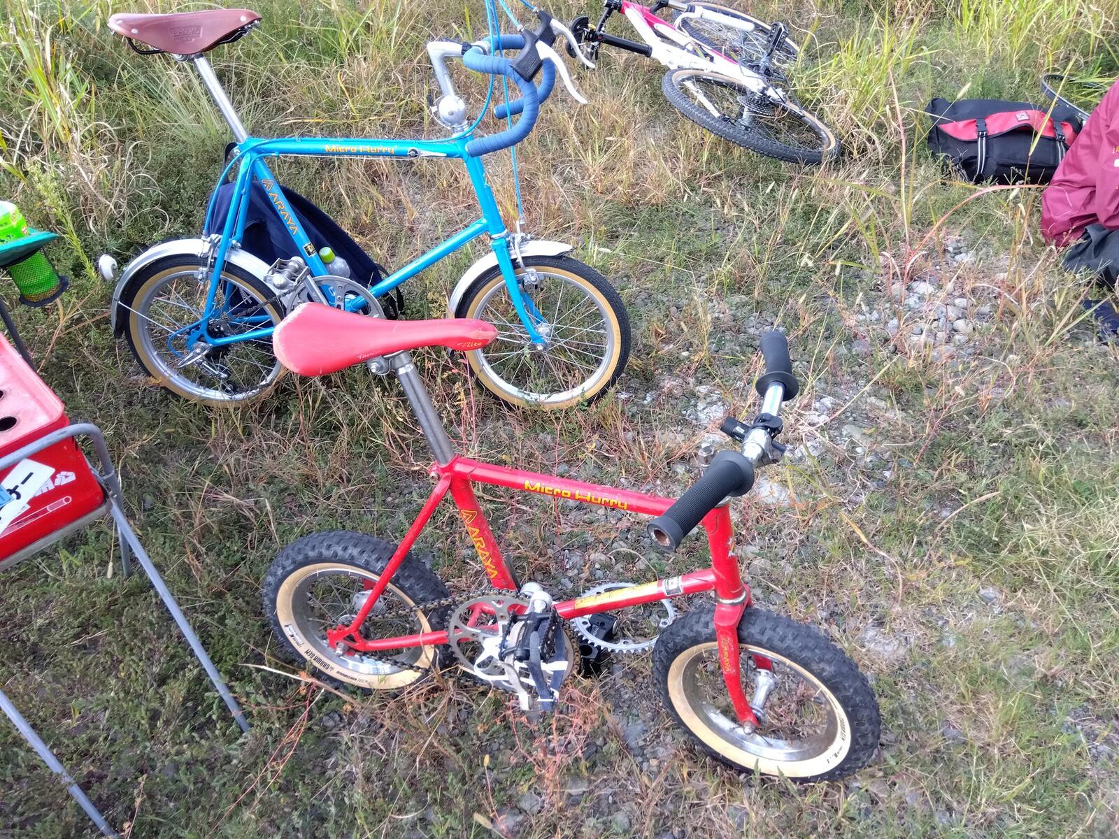 1976 アラヤ マイクロハリー 12 Blog - Female Singapore