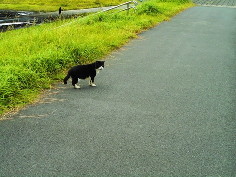DSCN2029