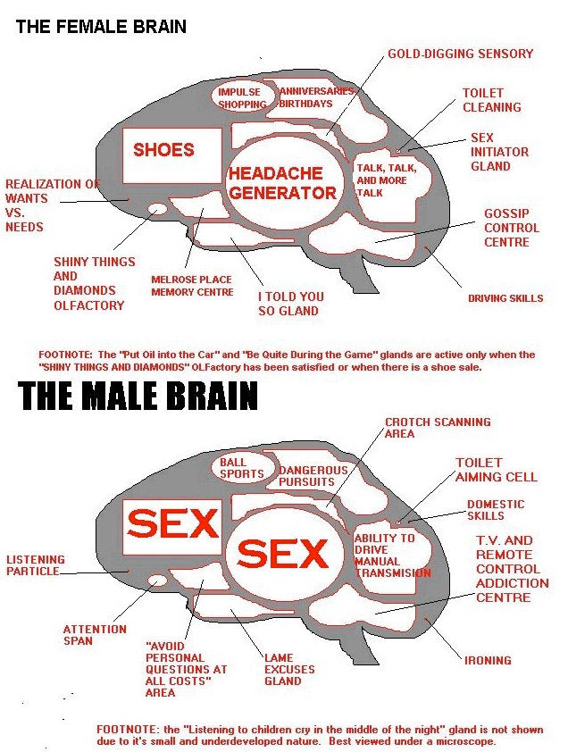 men_vs_women_3
