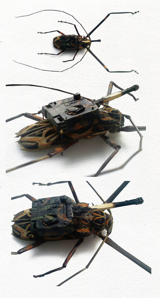 Canon_Creature
