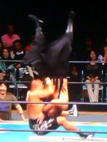 スタイナースクリュードライバー