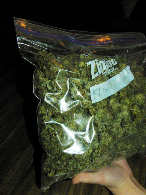 budzz1_500